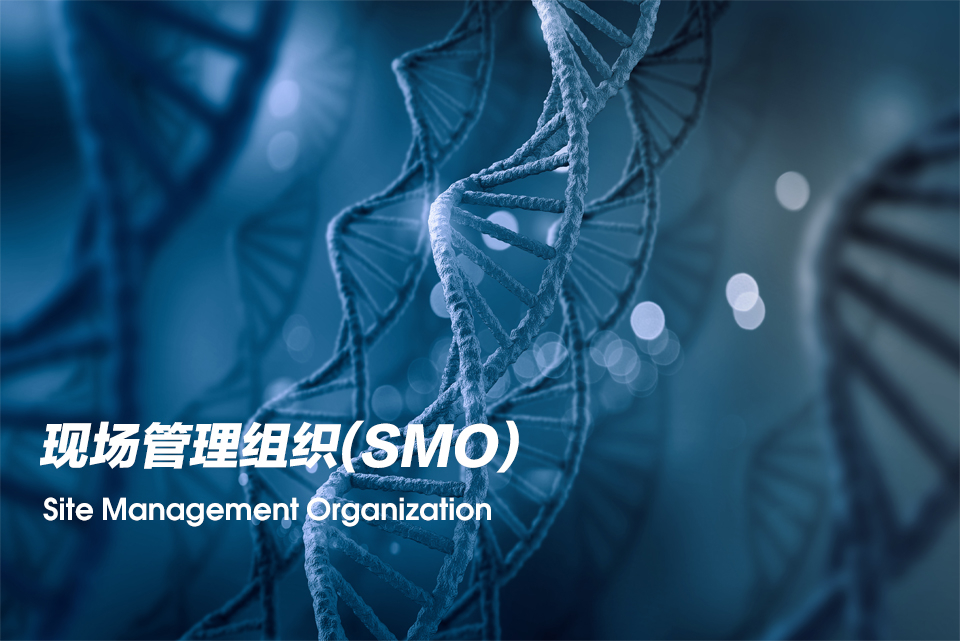 现场管理组织（Site Management Organization，，，，SMO）