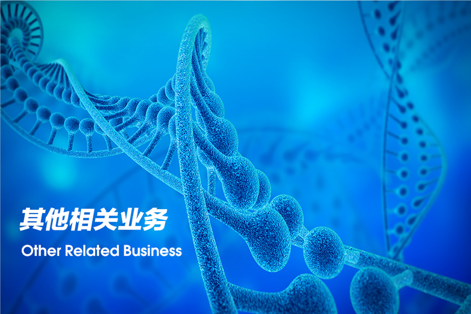 其他相关业务（Other Related Business）